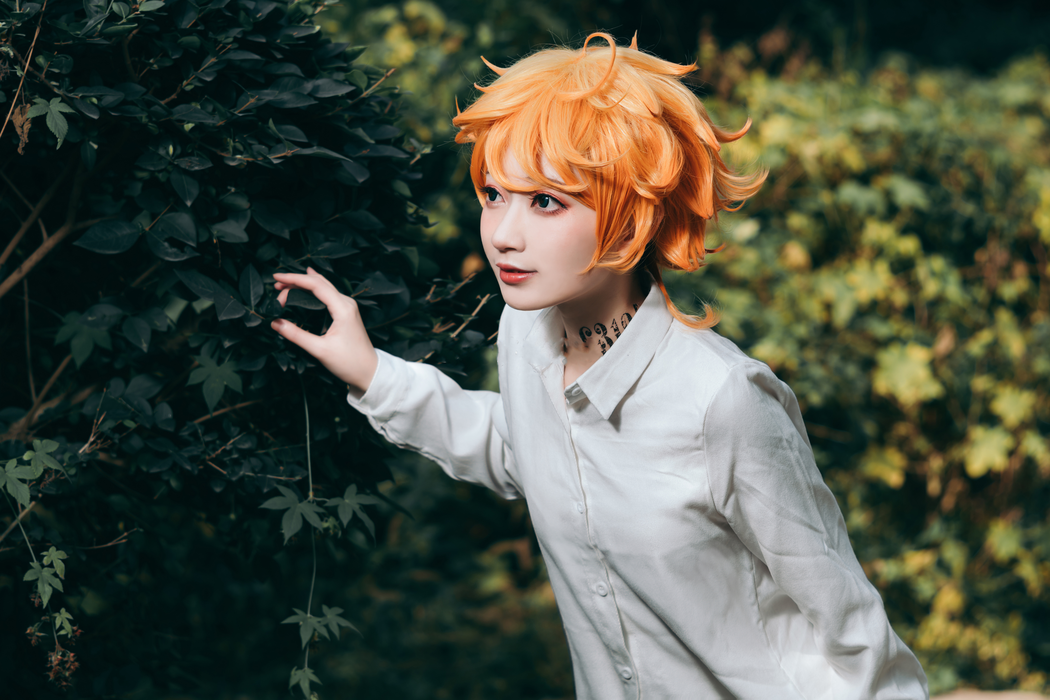 约定的梦幻岛 艾玛cosplay-二次元