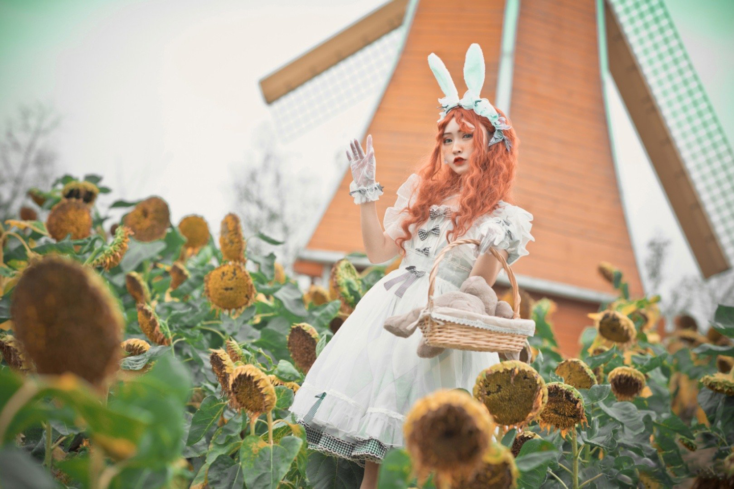 lolita私影，仙境中的小兔子
