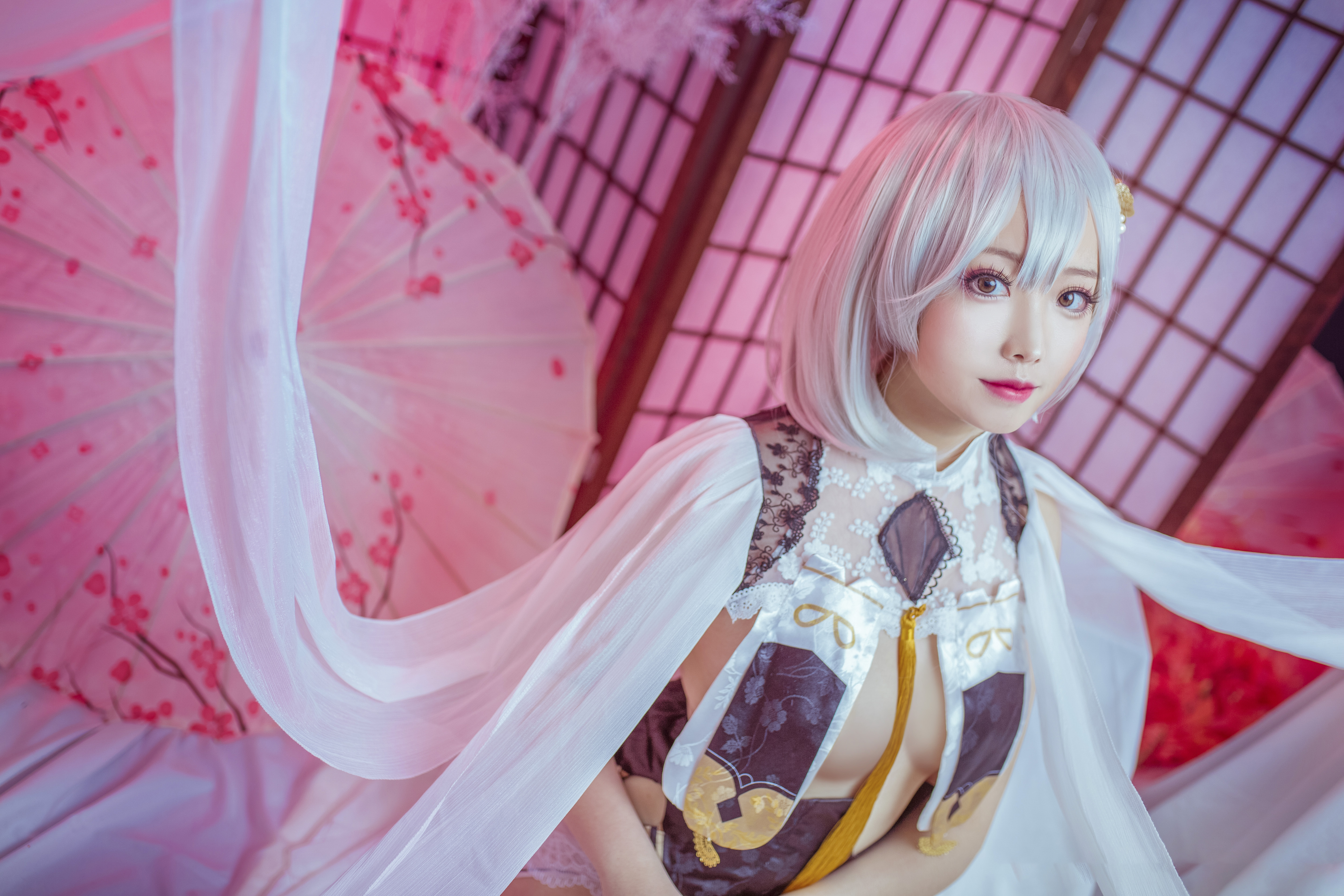 碧蓝航线 天狼星旗袍cosplay-二次元