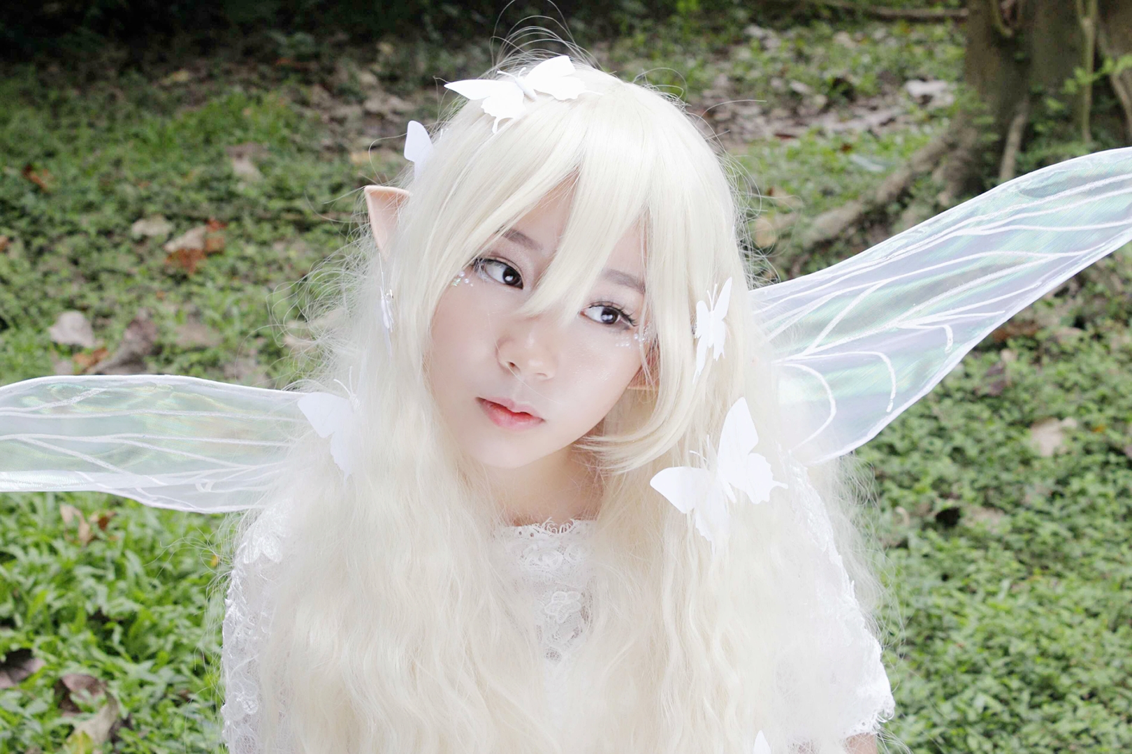 森系精灵蝴蝶精灵Cosplay-二次元