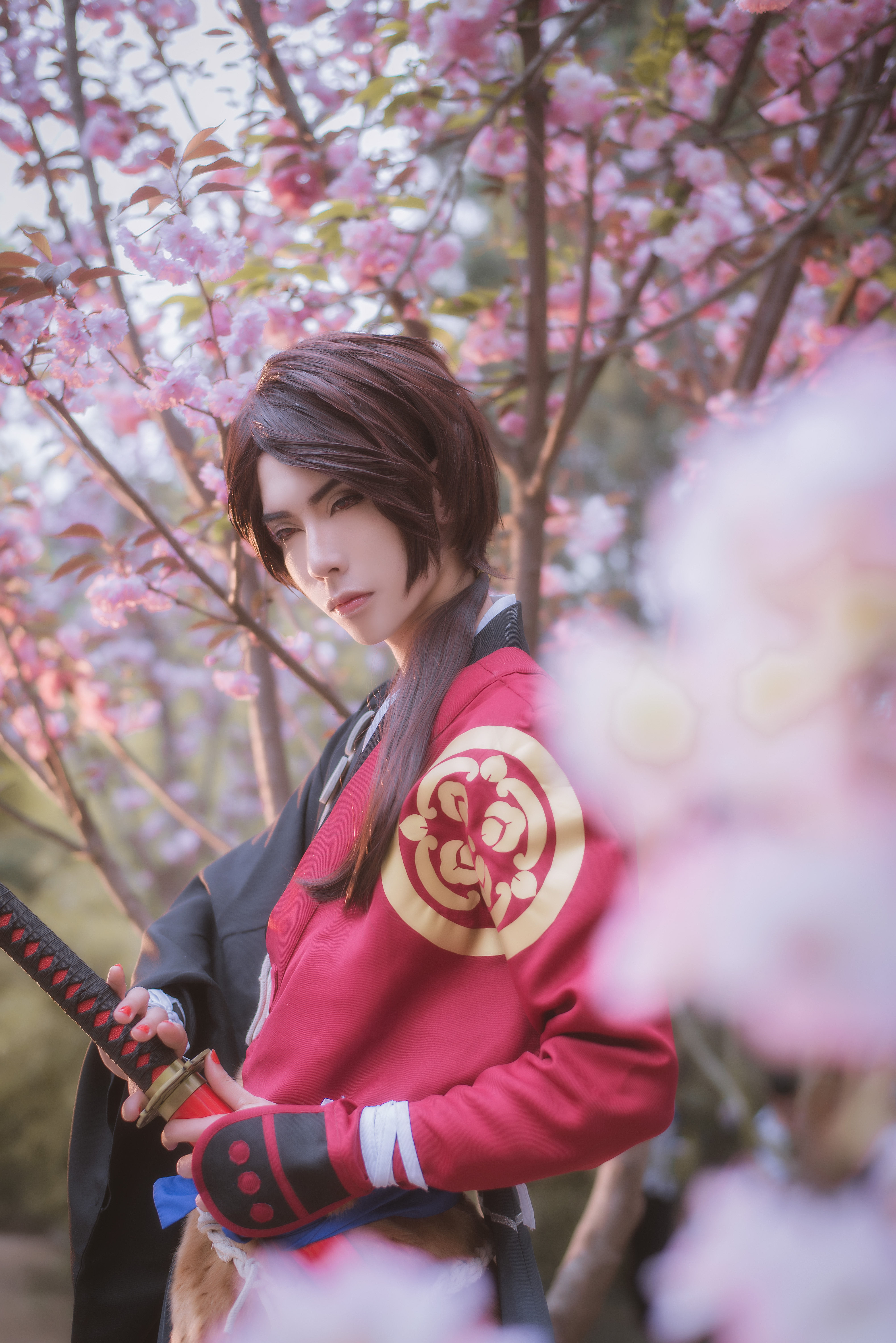 刀剑乱舞加州清光cosplay，果然樱花和武士刀也是一种浪漫~-二次元