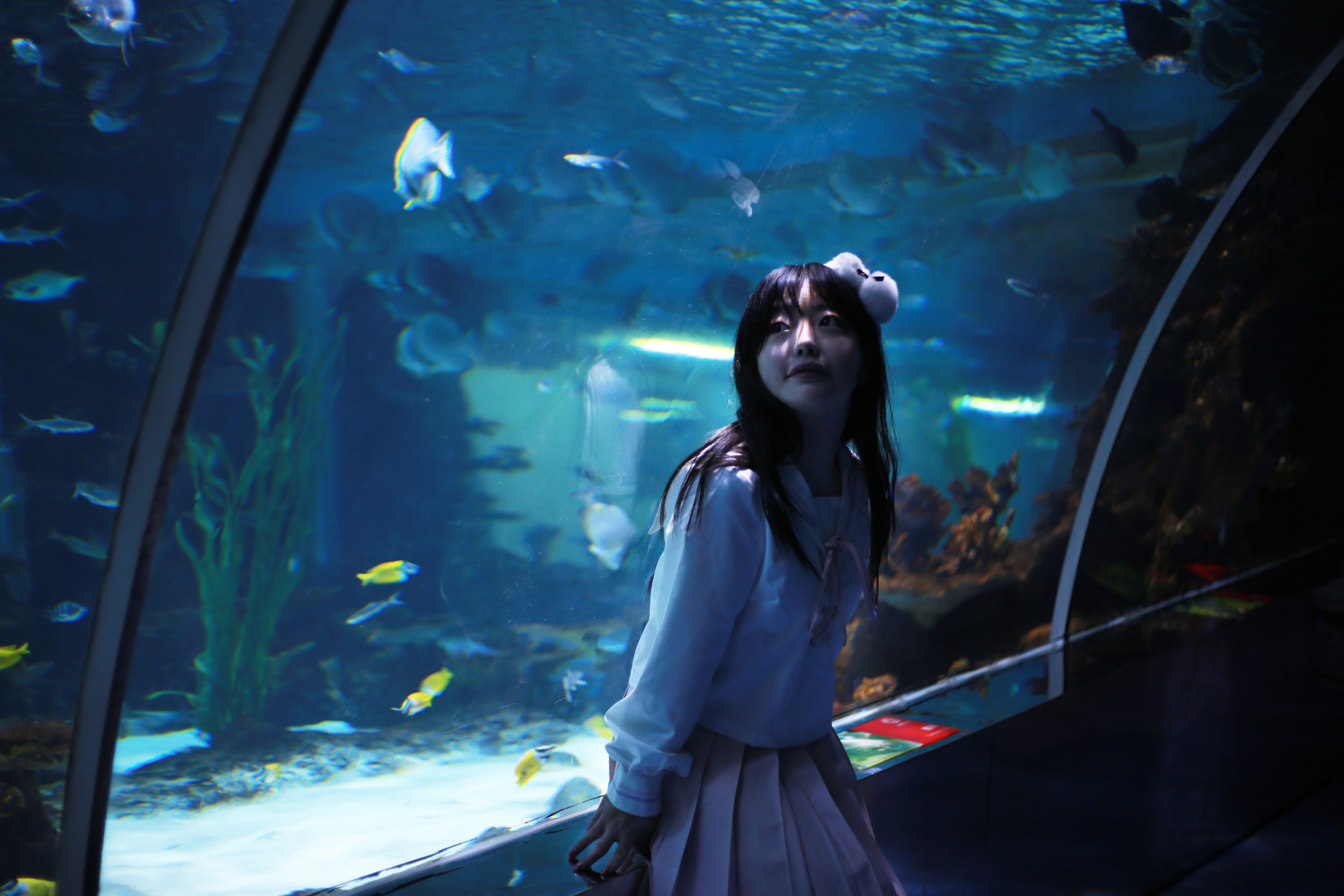 jk制服水族馆写真-二次元