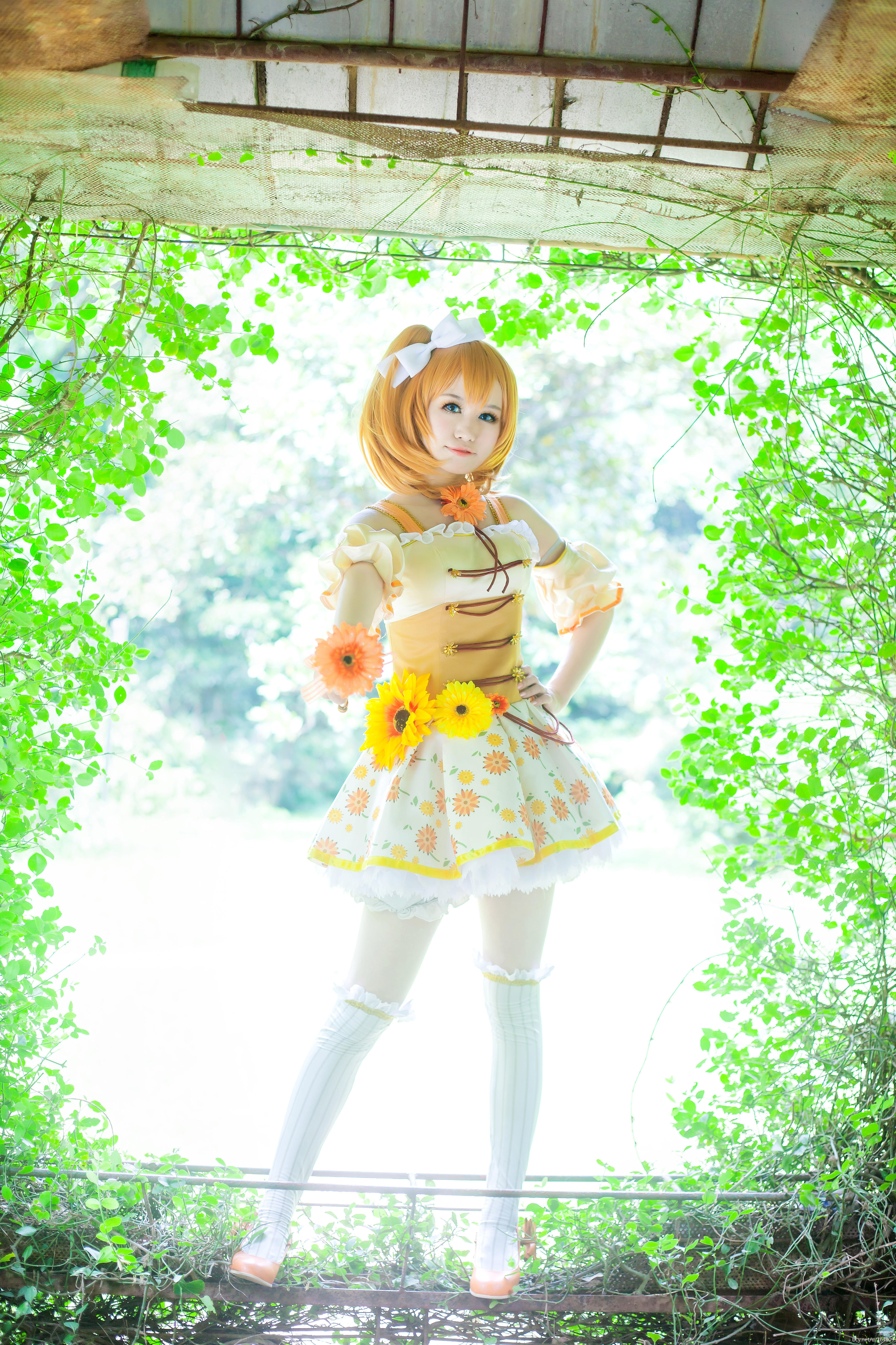 LoveLive!高坂穗乃果cosplay-二次元