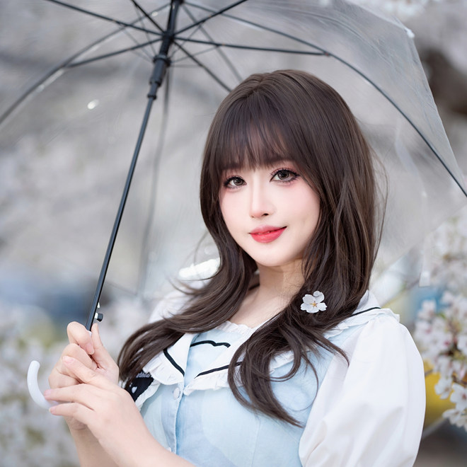 遗落心动樱花赏